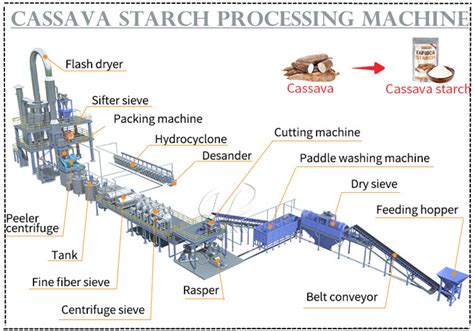 Cassava starch processing machine working principle and cassava starch ...