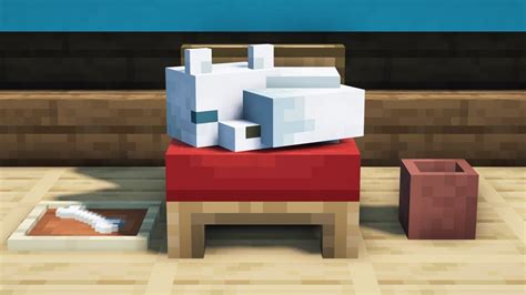 Make a BED for your PETS in Minecraft... - YouTube