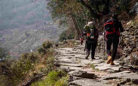 Trekking In Rishikesh: A Perfect Day Out In Nature's Lap