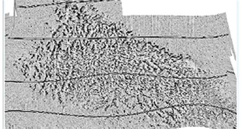 Sonar imaging of the seabed: Side Scan Sonar - WUR