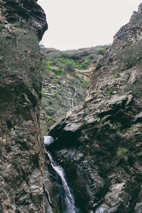 nest + venture: Eaton Canyon