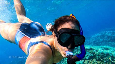 5 Best Big Island Snorkeling Spots (plus how to swim with manta rays ...