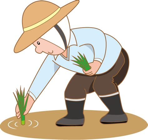 Rice cultivation clipart - Clipground