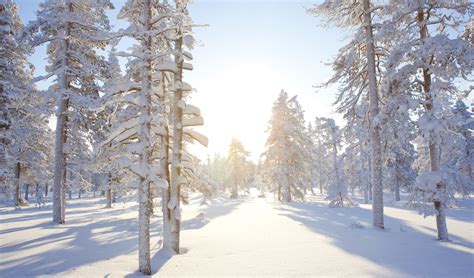 A Magical Winter Escape to Finnish Lapland | Black Tomato