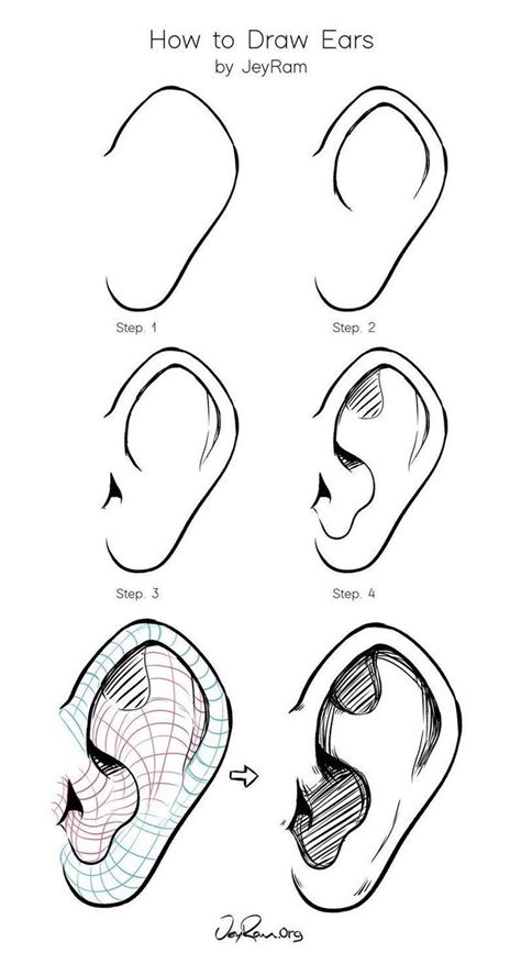 How to Draw Ears Learn how to draw ears using this step by step process made for beginners (on ...