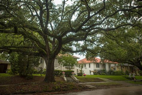 Gentilly Terrace - New Orleans Real Estate & Neighborhood Guides