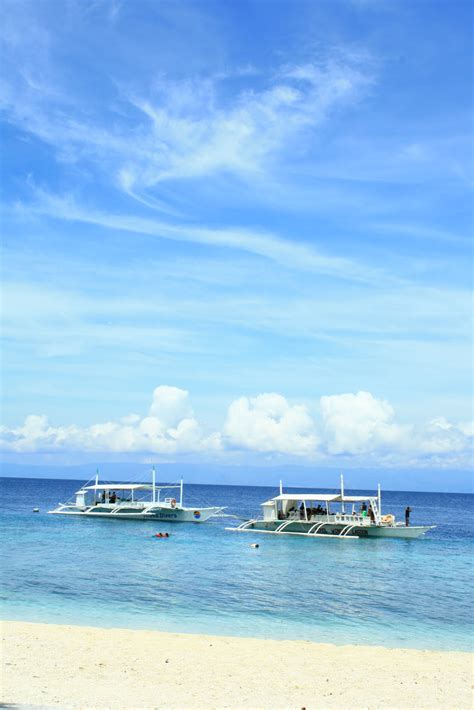 UBBE: Balicasag Island Dive Resort | My Little World by Mommy Rackell