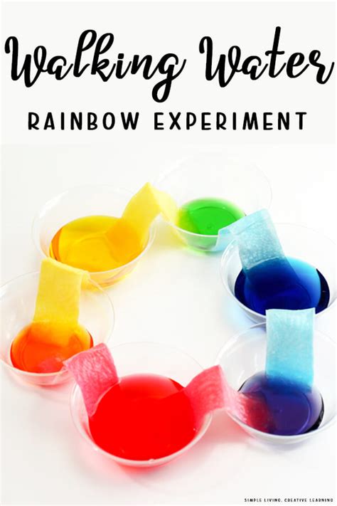 Walking Rainbow Experiment Flash Sales | dakora.com.co