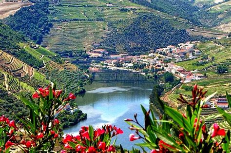 12 fantásticos locais para visitar no Pinhão (Douro) | VortexMag