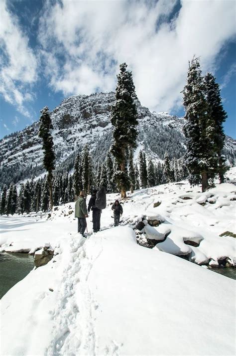 Winter trekking in Himalayas : r/AlpineAdventure