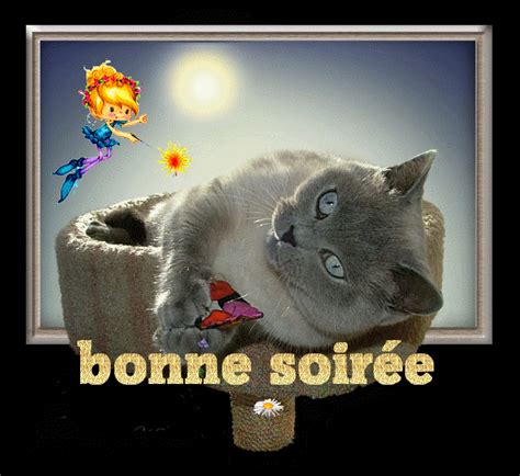 bonsoirbonne soiree gifs animes - Page 40