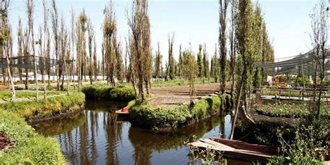 Chinampas