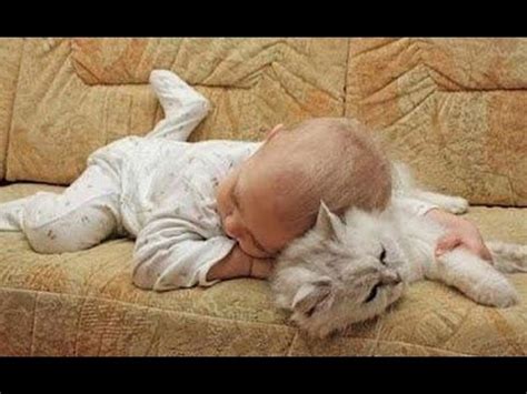 Adorable Cats and Babies Cuddling - Babies Love Cats Compilation - YouTube