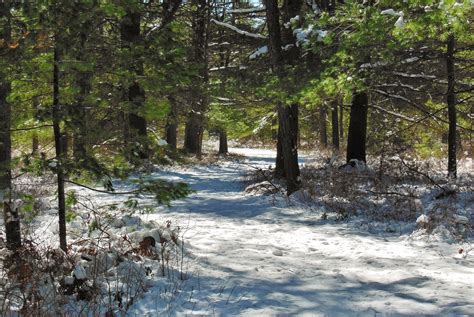 Myles Standish State Forest | Treadworld