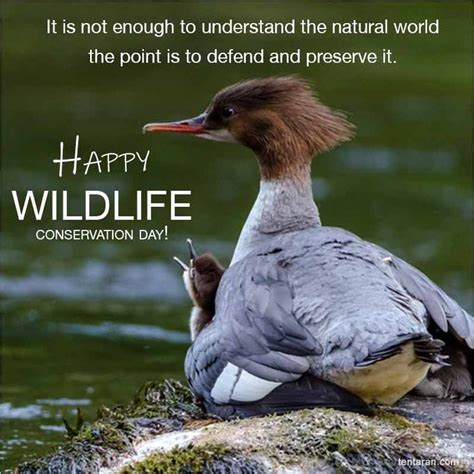 Happy world wildlife conservation day quotes 2020, images, poster, slogan | Wildlife ...