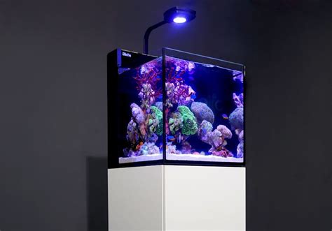 Red Sea MAX NANO - Fully featured 75 litre/20 gal, Plug & Play reef system