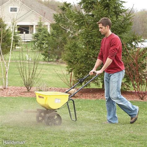 Reseed - Instead of applying costly pesticides, sow quality grass seed. Reseeding your lawn ...