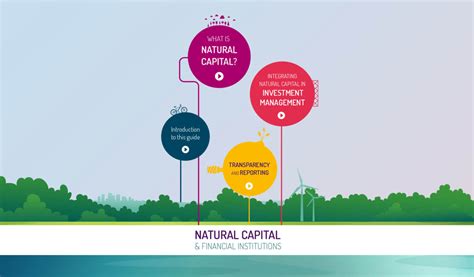 Natural Capital - Pero Gouwerok - Visual UX Design & Animation - Portfolio