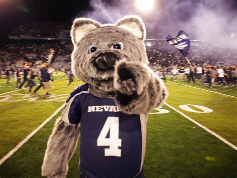 Wolfie Jr.: Undisputed alpha of all mascots | University of Nevada, Reno