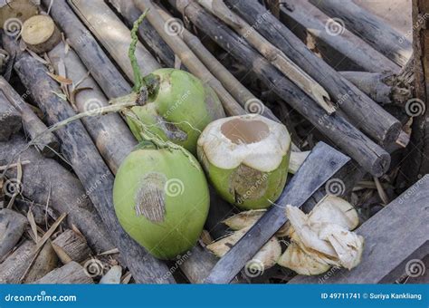 The Coconut is Cut and Peeled with a Knife Stock Image - Image of green, roasted: 49711741