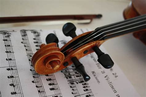 10 Best Student Violins in 2023 [Buying Guide] - Music Critic