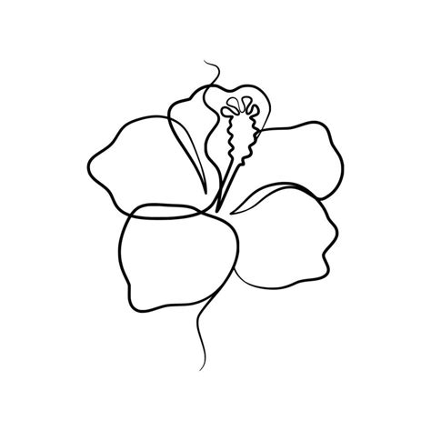 Continuous one line art drawing of beauty hibiscus flower 24648328 Vector Art at Vecteezy