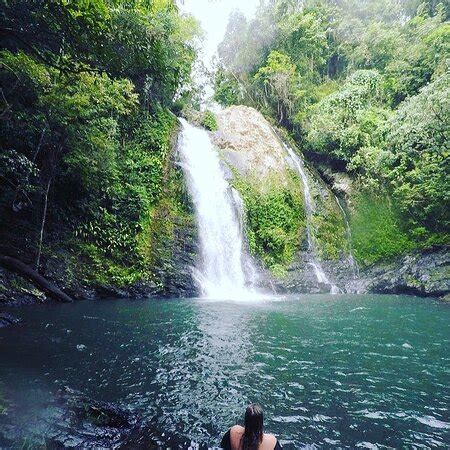 Swim under a waterfall!! - Daintree Discovery Tours, Port Douglas Traveller Reviews - Tripadvisor