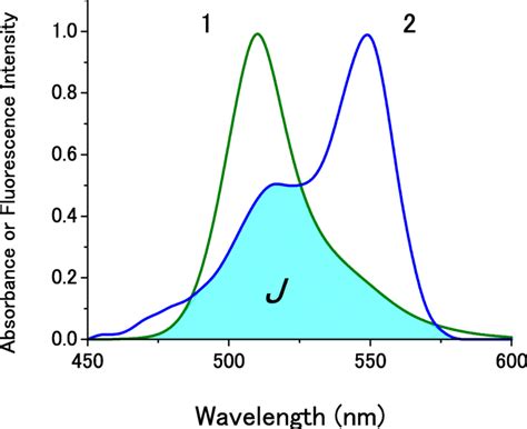 The spectral overlap (J) between the fluorescence spectrum of GFP and ...