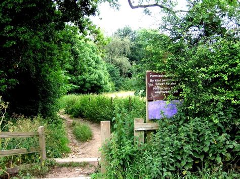 Eckington Woods (from top end of Back... © Andrew Loughran cc-by-sa/2.0 :: Geograph Britain and ...