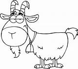 Boer Goat Coloring Pages At GetColoringscom  Free Printable Colorings sketch template