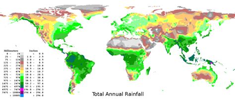 Map of World Rainfall | DRIPS Project