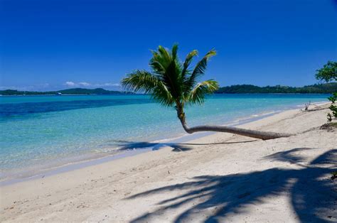 Coconut Beach Resort - Fiji Vacations