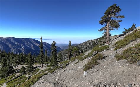 Mount Baldy Summit via Ski Hut Trail | Outdoor Project