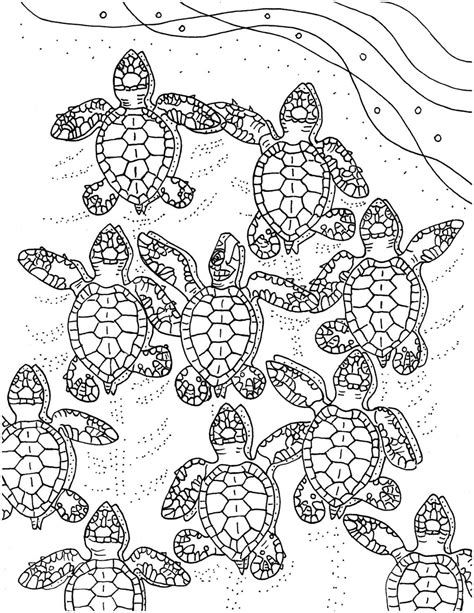 Entrelosmedanos: Sea Turtle Coloring Pages