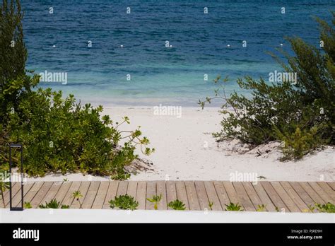 Tropical Beach in Falmouth Jamaica. Palm Trees and White Sand Beaches ...