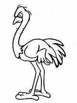 Free Printable Ostrich Coloring Pages For Kids sketch template
