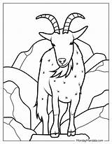 Free Coloring Pages Goats sketch template