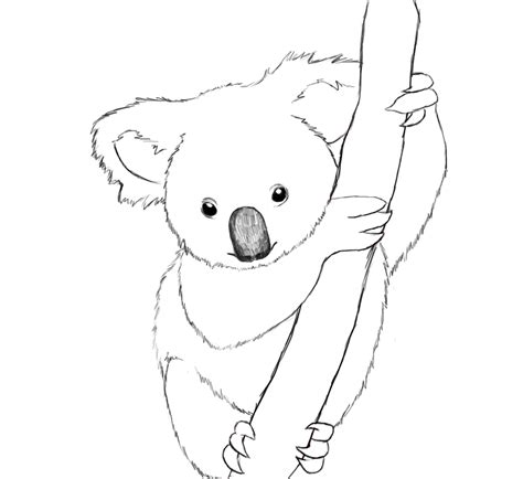 How To Draw A Koala - Draw Central