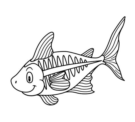 X Ray Fish Coloring Page Cartoons Illustrations, Royalty-Free Vector Graphics & Clip Art - iStock