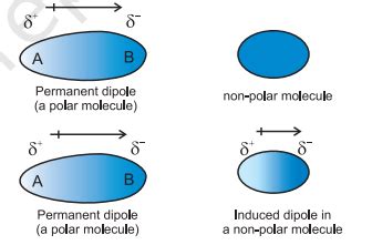 What are dipole induced dipole forces?