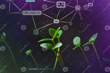 Soil Contamination by Chemical Emissions. Harmful Substances in Soil Stock Image - Image of ...