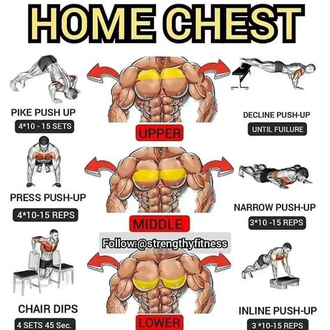 Home Chest Workout: Pump up Your Pecs with Our Eight-week Training Plan ...