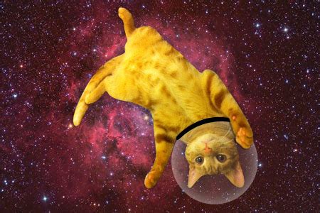 SPACE CAT 2.0 - Free Addicting Game