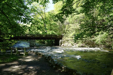 NJDEP | Stephens State Park | New Jersey State Park Service