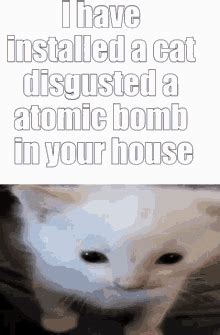 Cat Bomb GIF - Cat bomb - Discover & Share GIFs