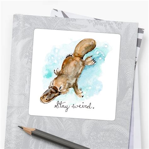 "Stay Weird, Platypus Watercolor Painting " Sticker by fugitiverabbit | Redbubble