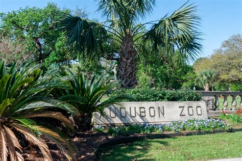 Explore Audubon Zoo At Night This May