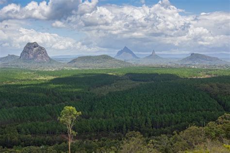 A guide to the Glass House Mountains National Park