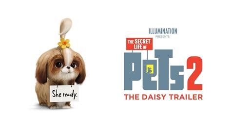 The Secret Life Of Pets 2 | The Daisy Trailer - YouTube