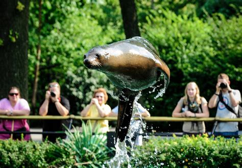 About Our Park - Bronx Zoo